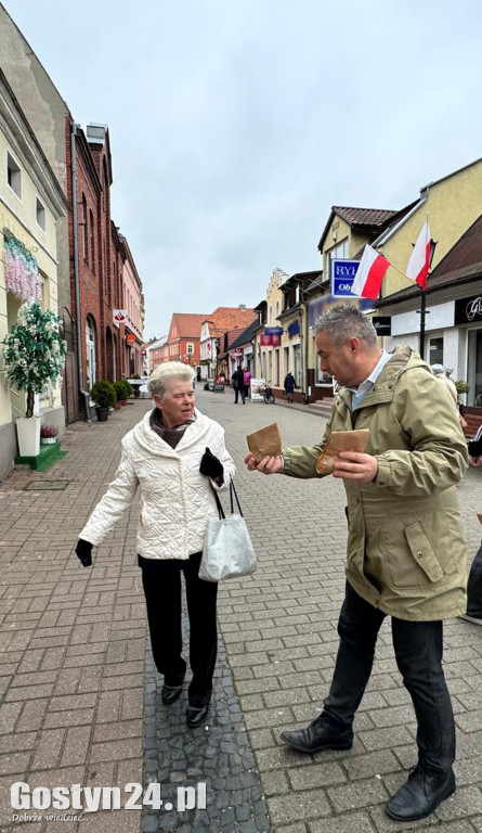 Sadzonki tulipanów na Dzień Niepodległości w Gostyniu