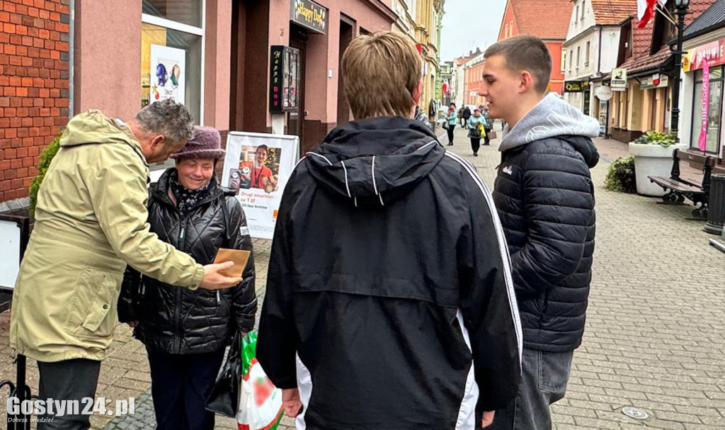 Sadzonki tulipanów na Dzień Niepodległości w Gostyniu