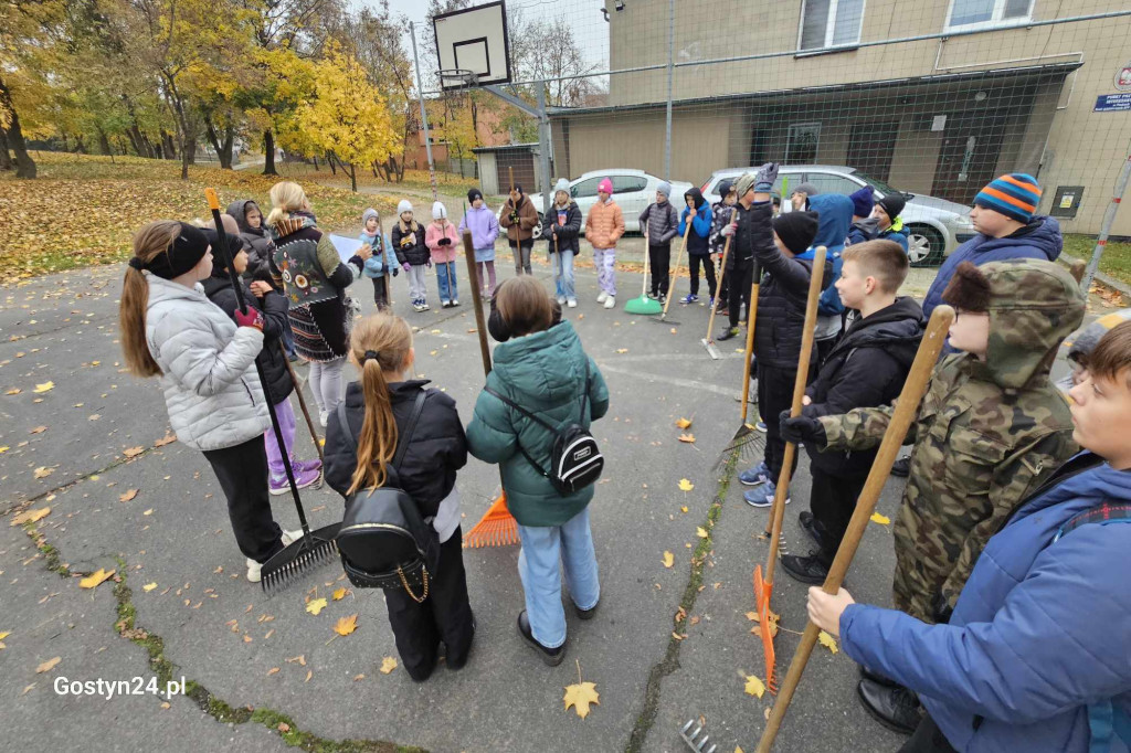 Akcja ratowania kasztanowców w Piaskach