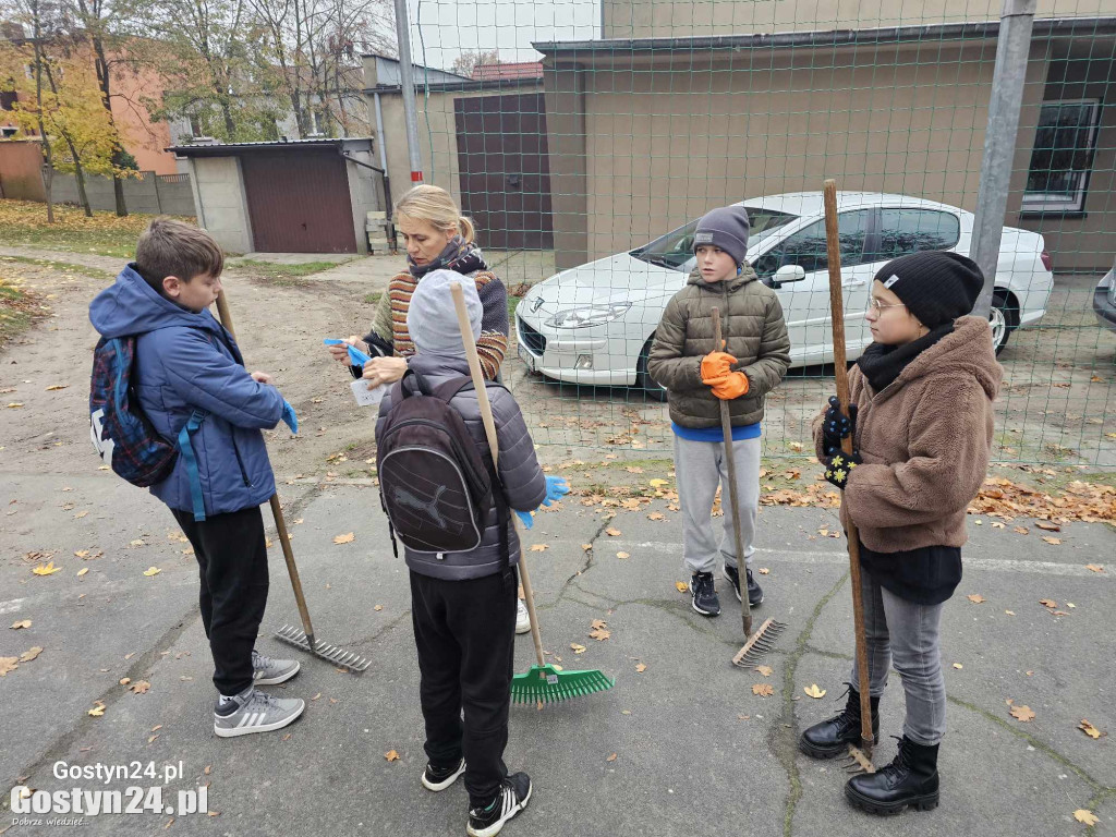 Akcja ratowania kasztanowców w Piaskach