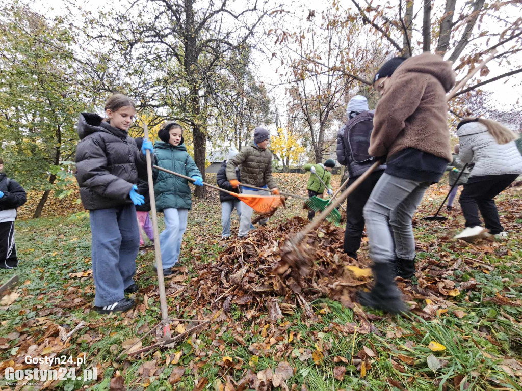 Akcja ratowania kasztanowców w Piaskach