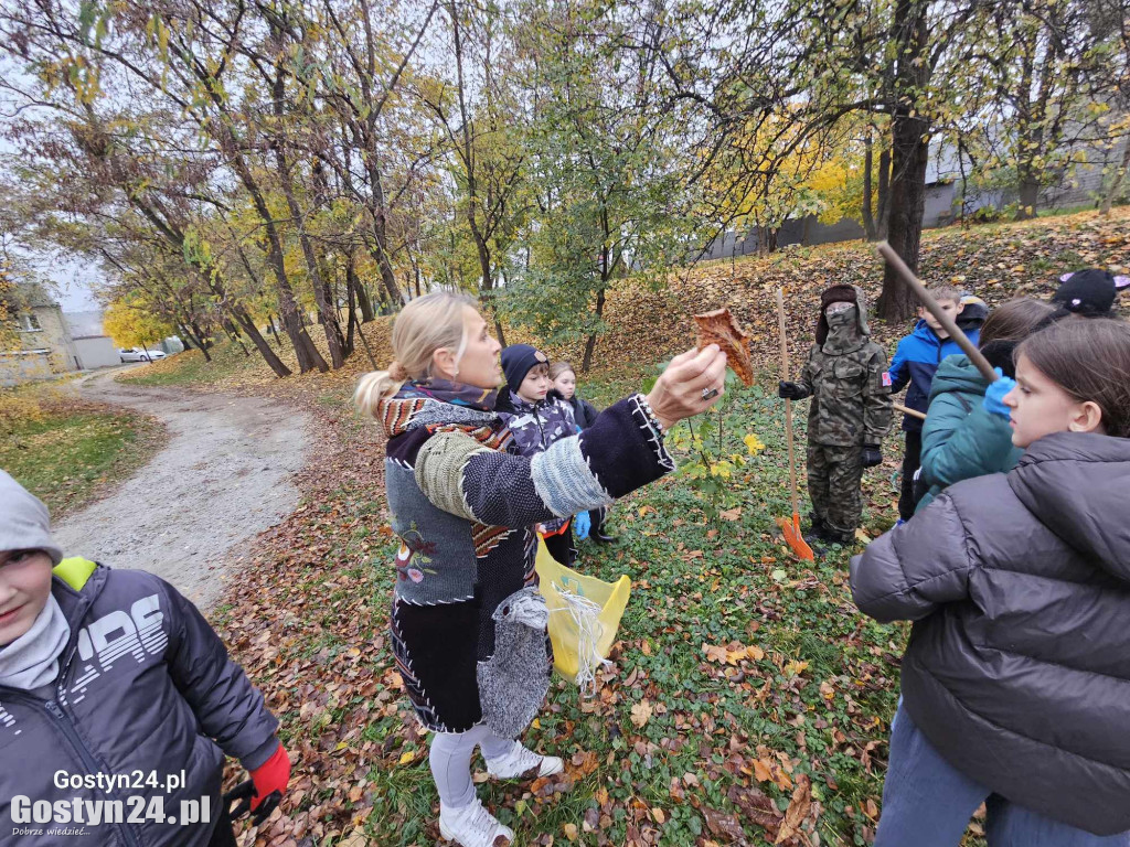 Akcja ratowania kasztanowców w Piaskach