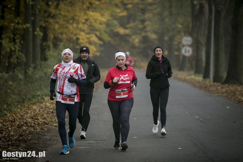 Kolejna edycja Biegu Niepodległości w Gostyniu