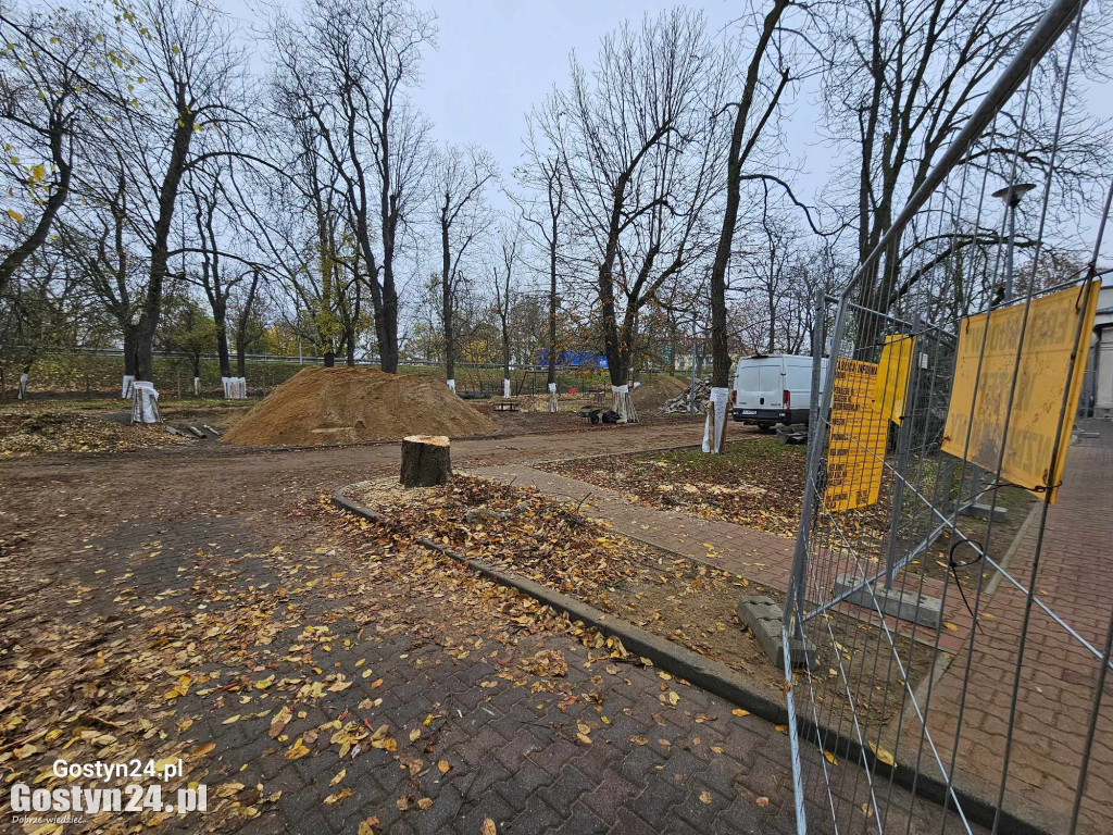 Rozpoczęła się rewitalizacja parku miejskiego w Gostyniu