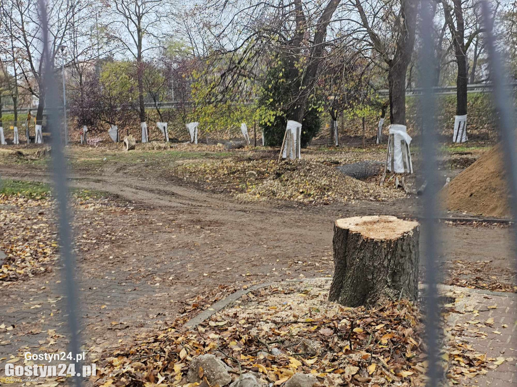 Rozpoczęła się rewitalizacja parku miejskiego w Gostyniu