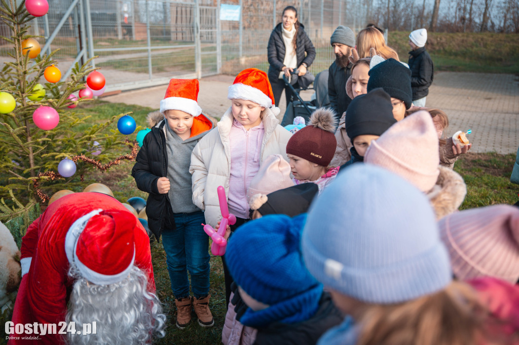 Mikołajkowy Dzień Otwarty w Schronisku