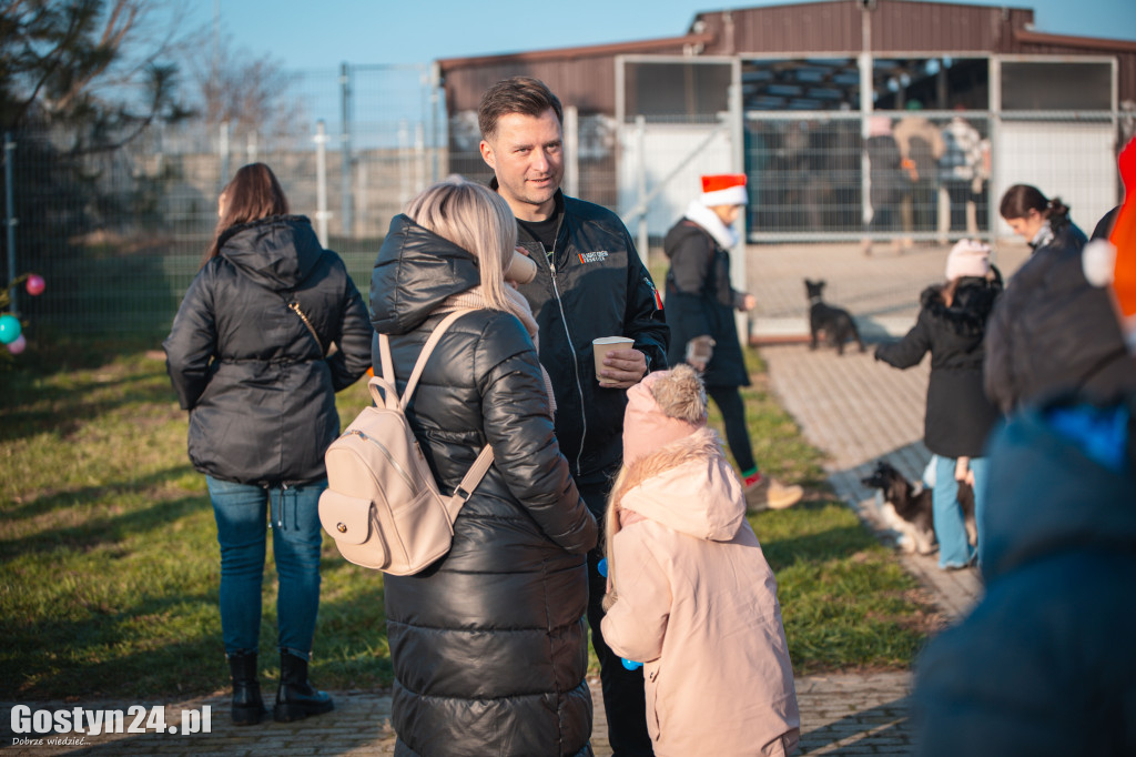 Mikołajkowy Dzień Otwarty w Schronisku