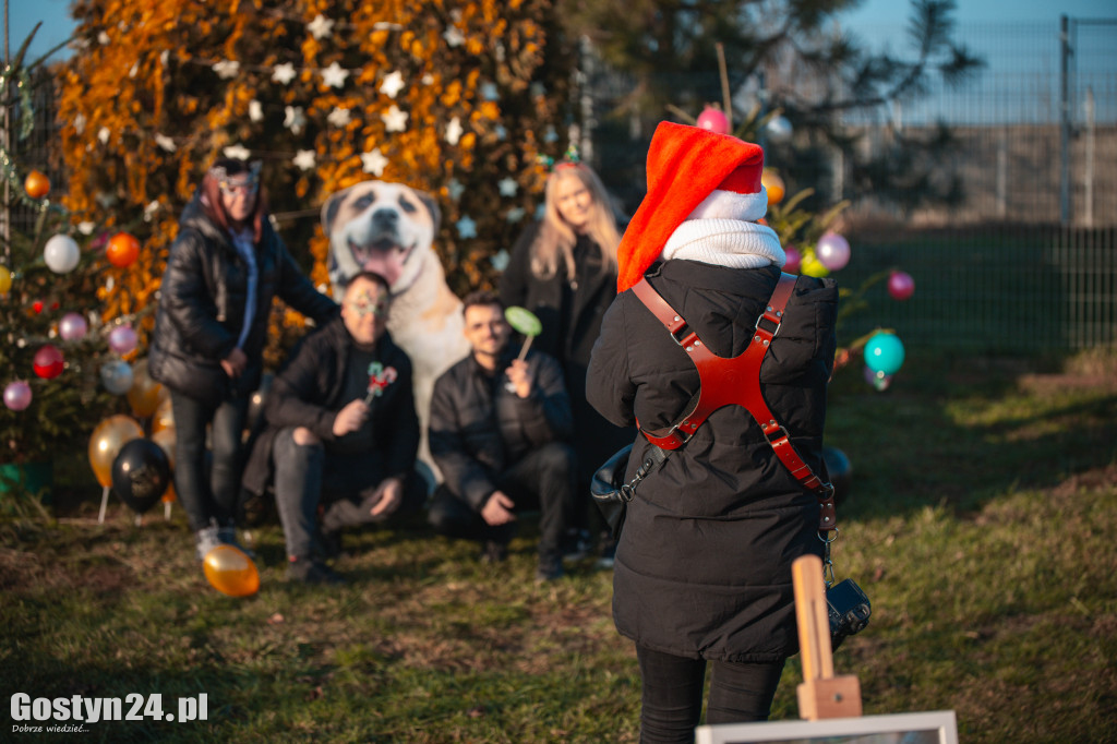 Mikołajkowy Dzień Otwarty w Schronisku