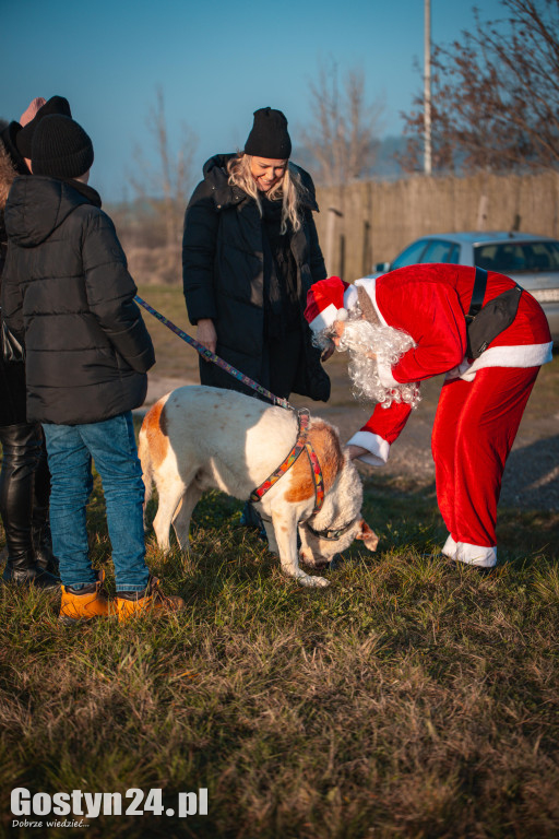 Mikołajkowy Dzień Otwarty w Schronisku