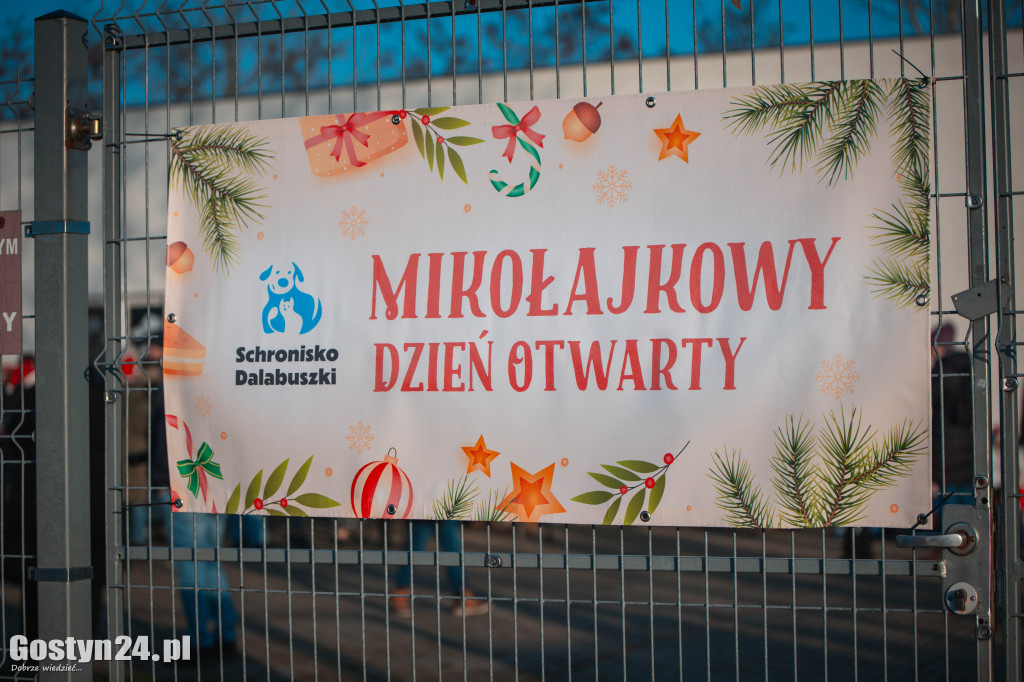 Mikołajkowy Dzień Otwarty w Schronisku