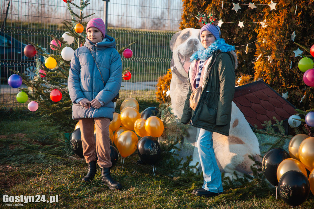 Mikołajkowy Dzień Otwarty w Schronisku