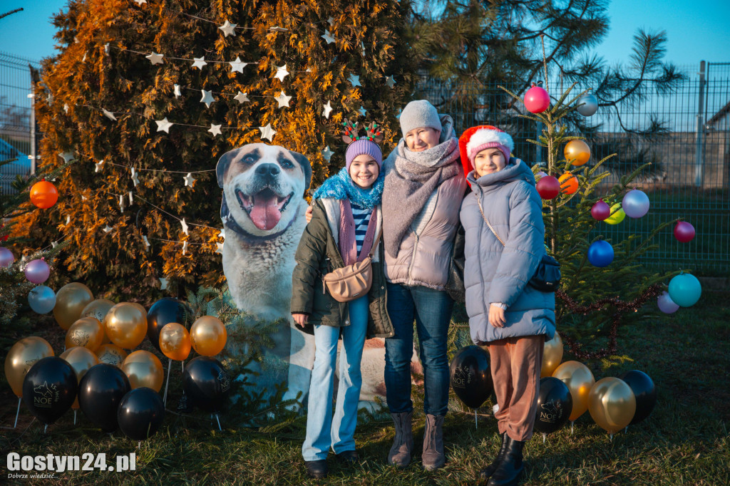 Mikołajkowy Dzień Otwarty w Schronisku