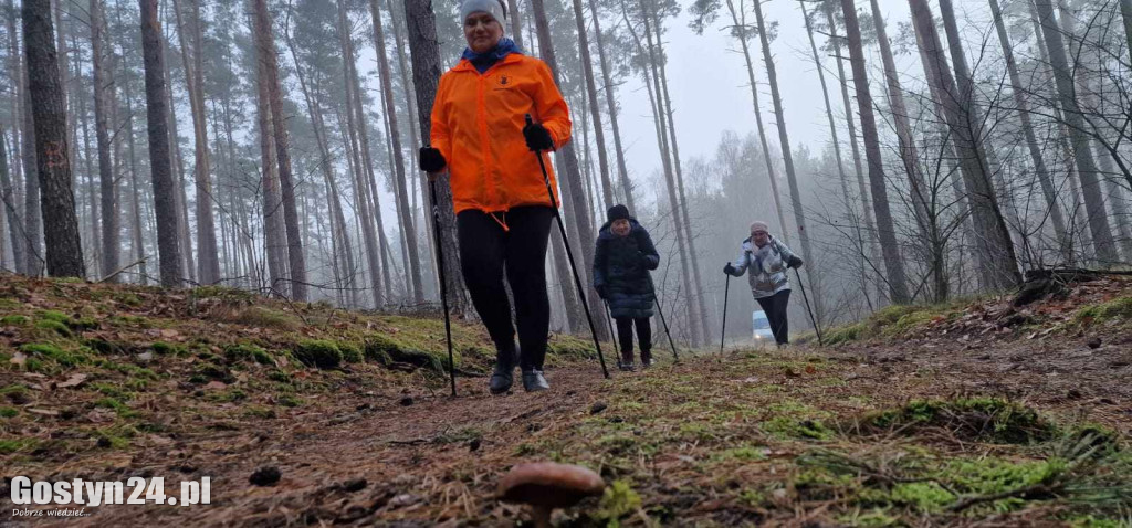 Mikołajkowy Marsz Nordic Walking w Dzięczynie