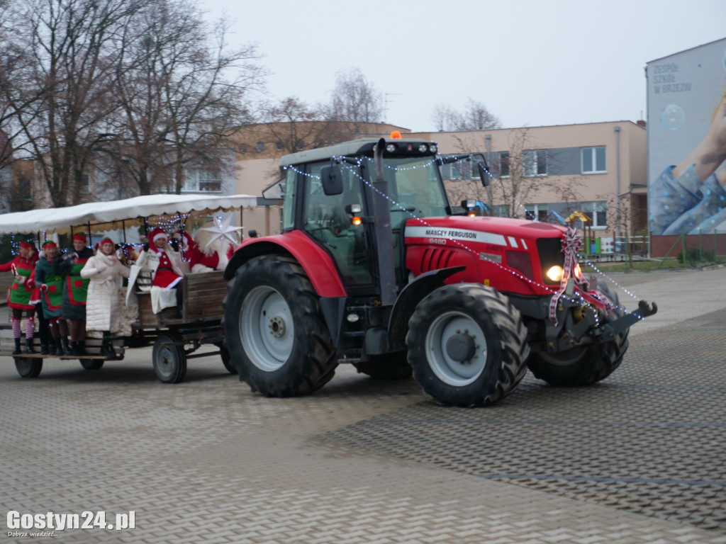 Renifer kierował po Brzeziu!