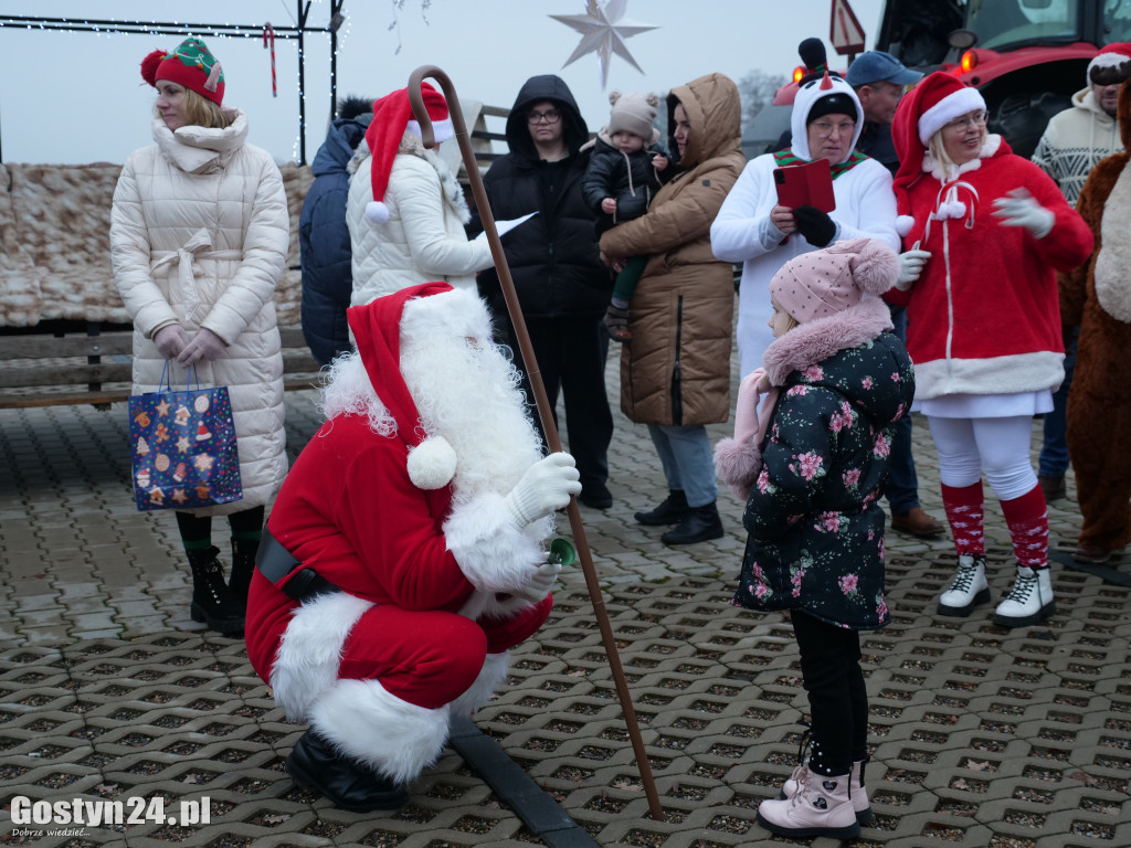 Renifer kierował po Brzeziu!