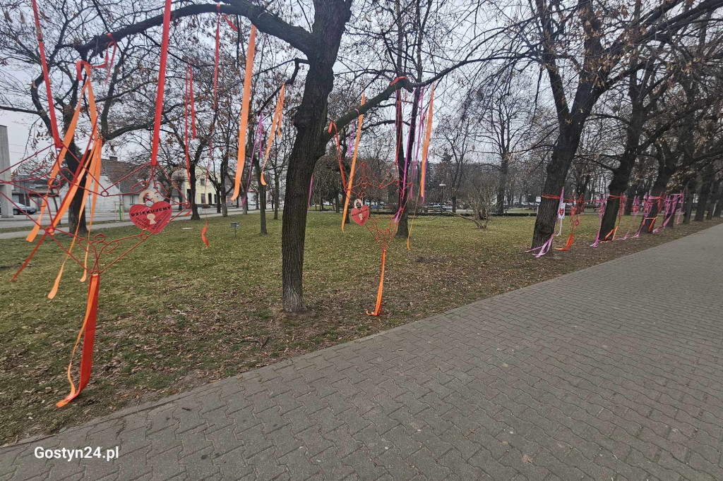 Walentynkowa instalacja w gostyńskich plantach