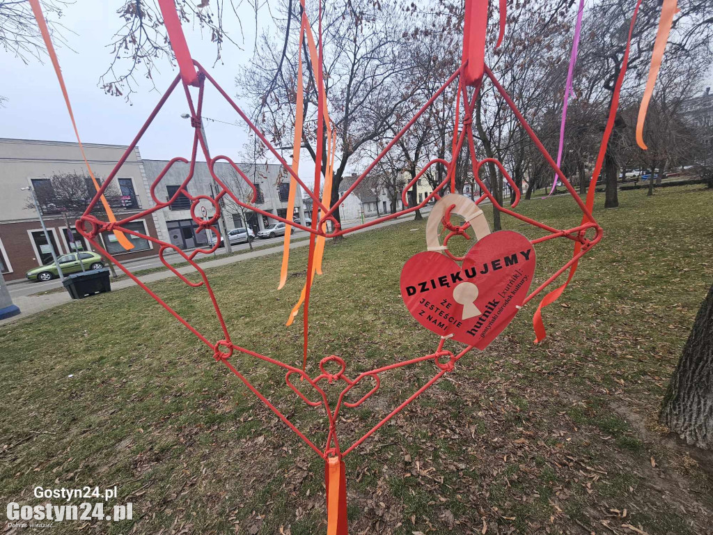 Walentynkowa instalacja w gostyńskich plantach