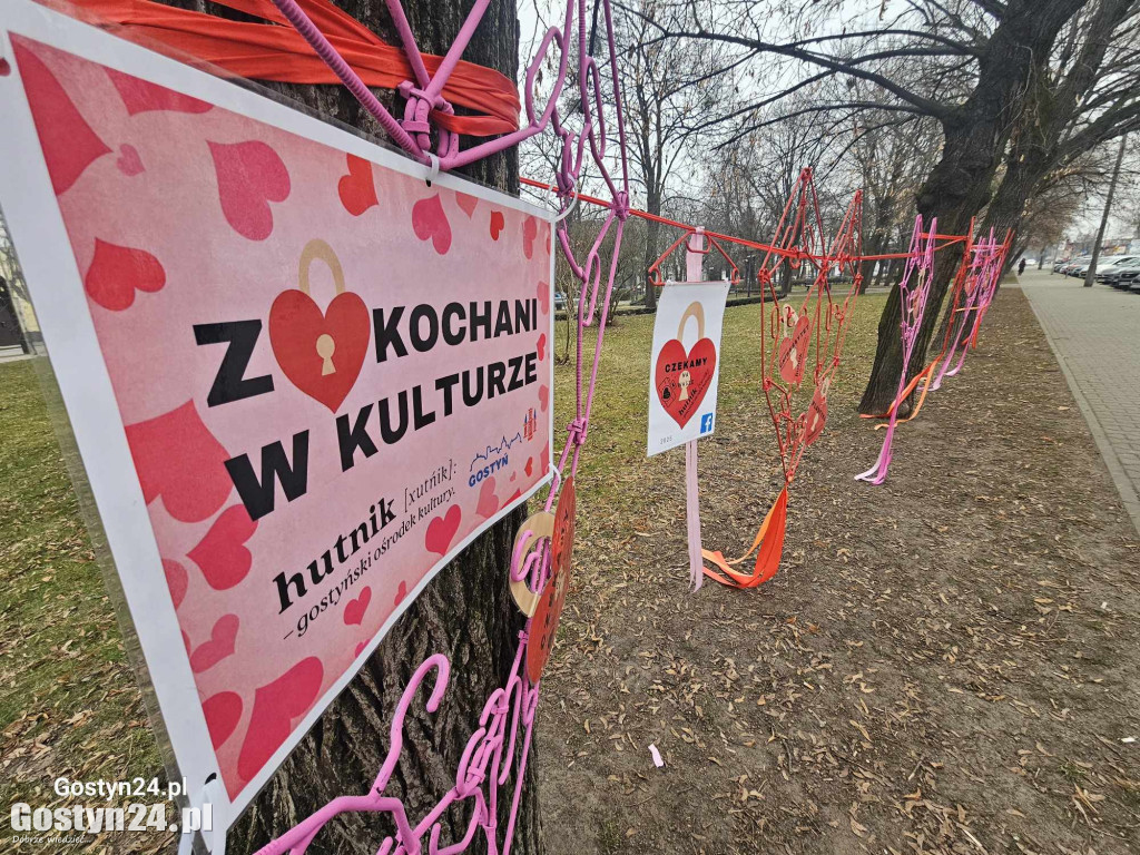 Walentynkowa instalacja w gostyńskich plantach