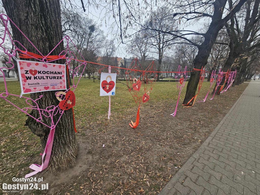 Walentynkowa instalacja w gostyńskich plantach