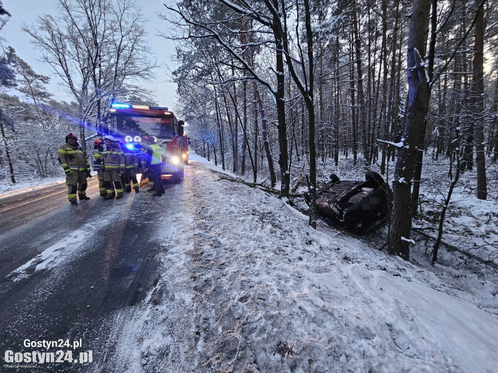 Wypadek w miejscowości Studzianna w gminie Borek Wlkp.