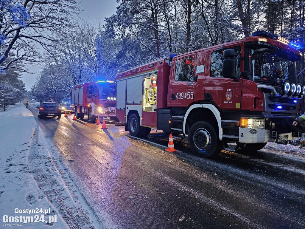 Wypadek w miejscowości Studzianna w gminie Borek Wlkp.