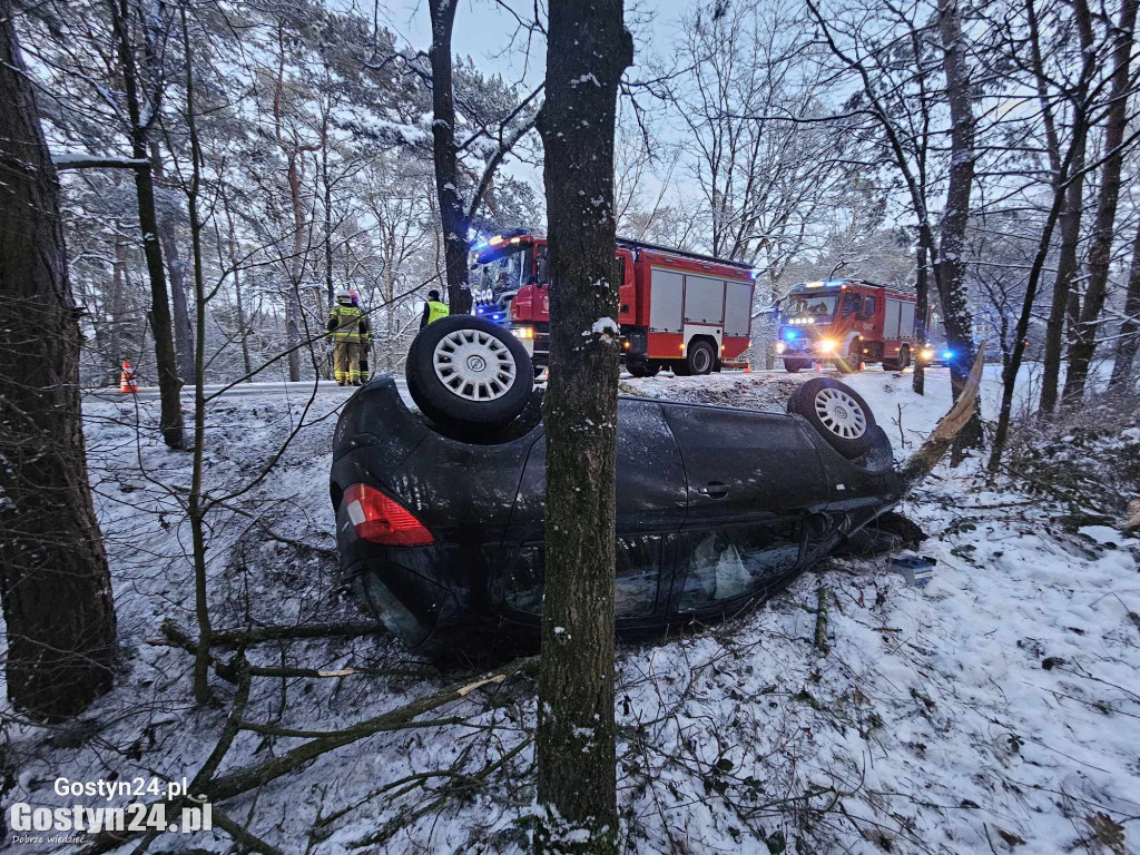 Wypadek w miejscowości Studzianna w gminie Borek Wlkp.