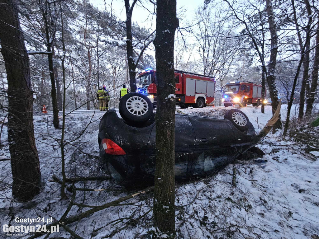 Wypadek w miejscowości Studzianna w gminie Borek Wlkp.