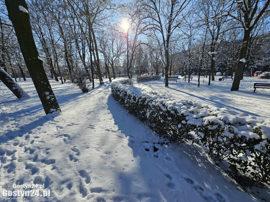 Zima w Gostyniu, biało i mroźnie