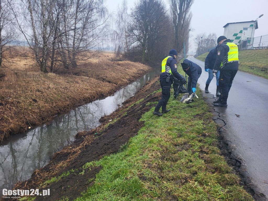 Martwa czapla znaleziona w rzece. Szybka akcja służb