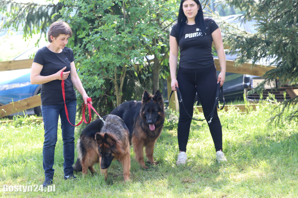 Wystawa owczarka staroniemieckiego w Karcu