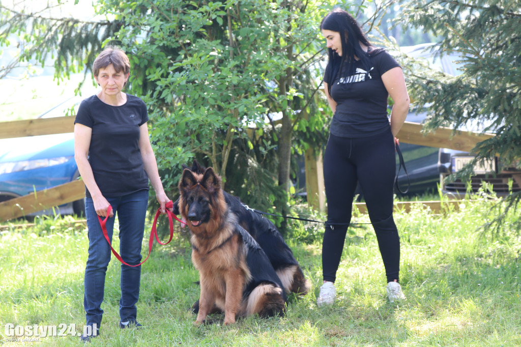 Wystawa owczarka staroniemieckiego w Karcu