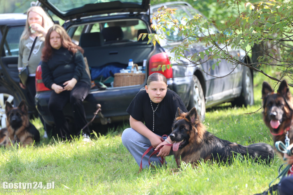 Wystawa owczarka staroniemieckiego w Karcu