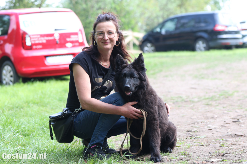 Wystawa owczarka staroniemieckiego w Karcu