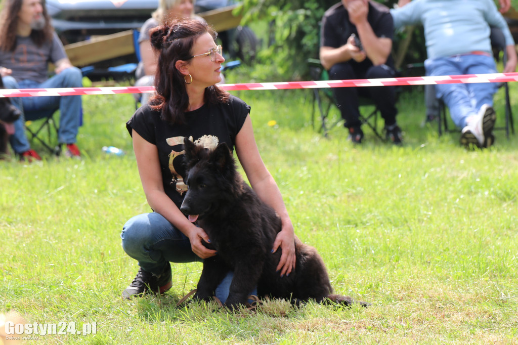 Wystawa owczarka staroniemieckiego w Karcu