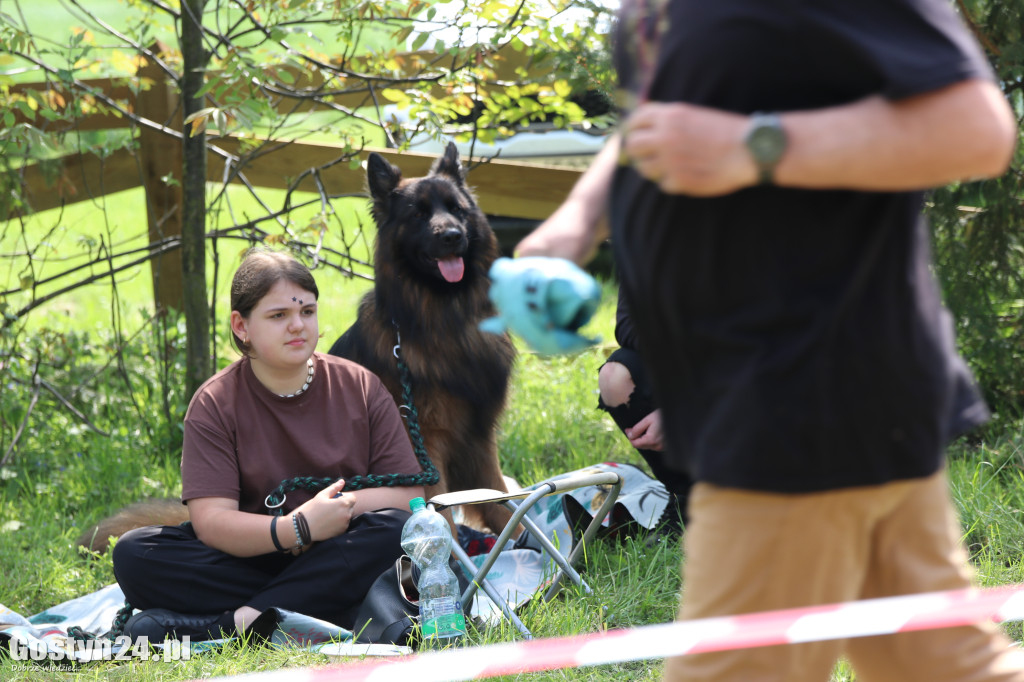 Wystawa owczarka staroniemieckiego w Karcu
