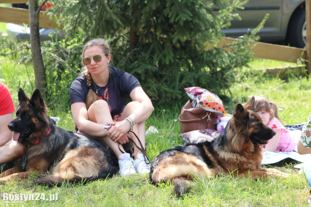 Wystawa owczarka staroniemieckiego w Karcu