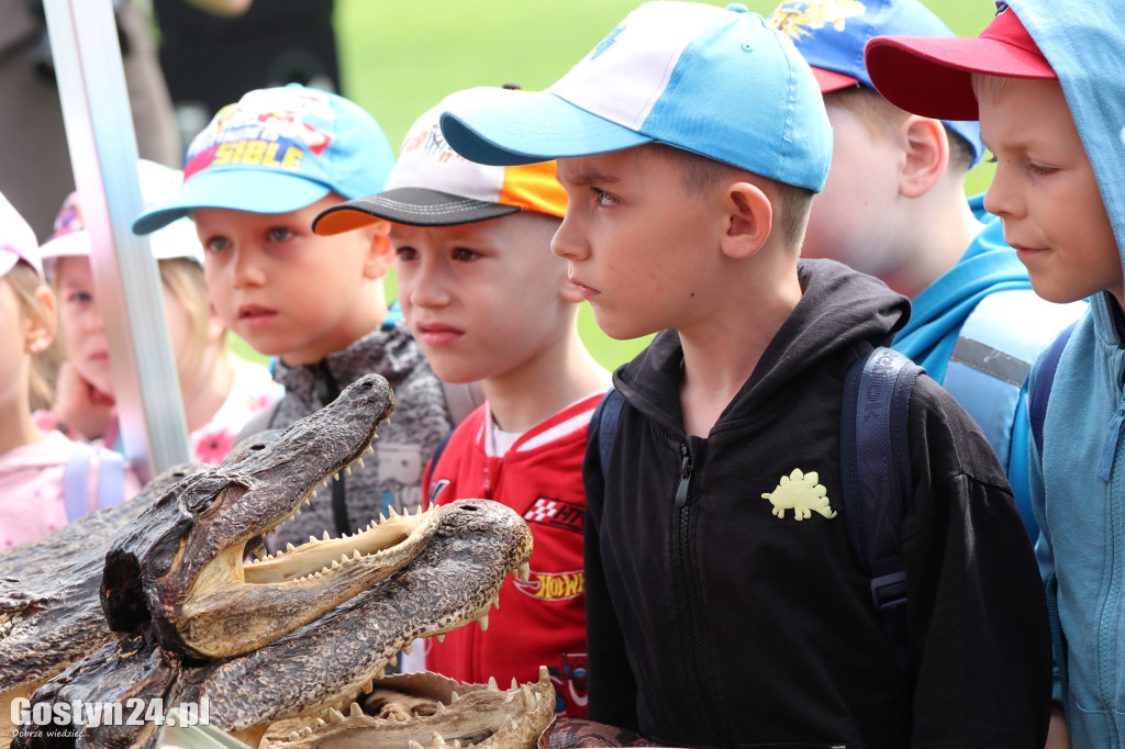 Piknik militarny z okazji Dnia Dziecka na stadionie w Pępowie