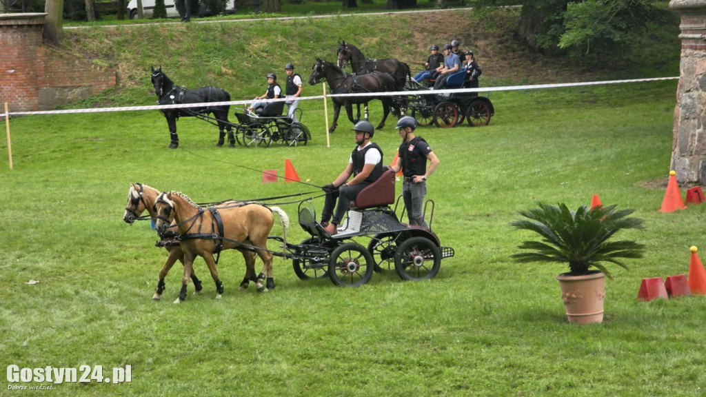 Pierwszy dzień Rokosowo Horse Show