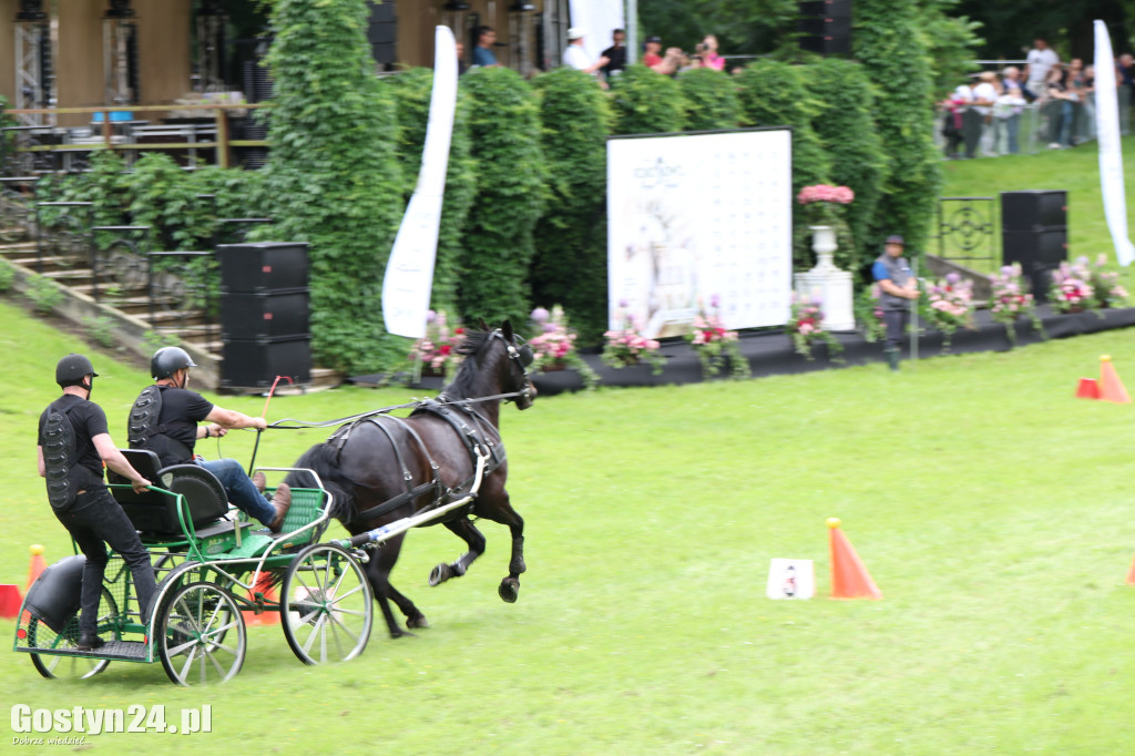 Pierwszy dzień Rokosowo Horse Show
