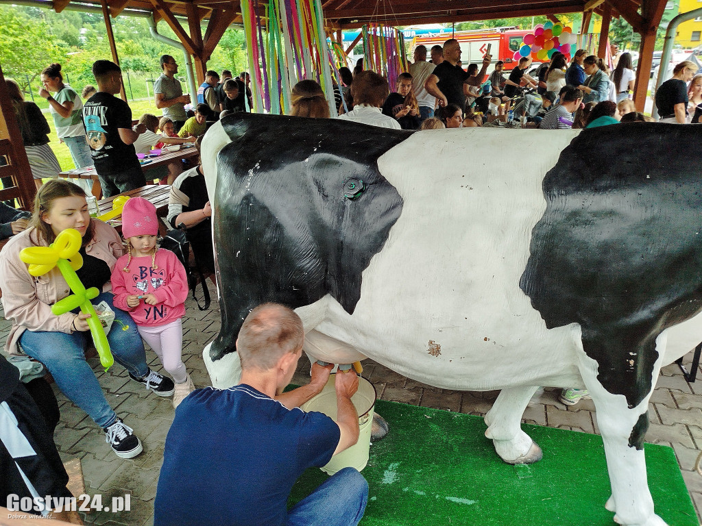 Piknik Rodzinny na terenie rekreacyjnym w Goli