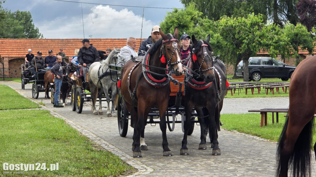 IV Pielgrzymka Konna na Świętą Górę