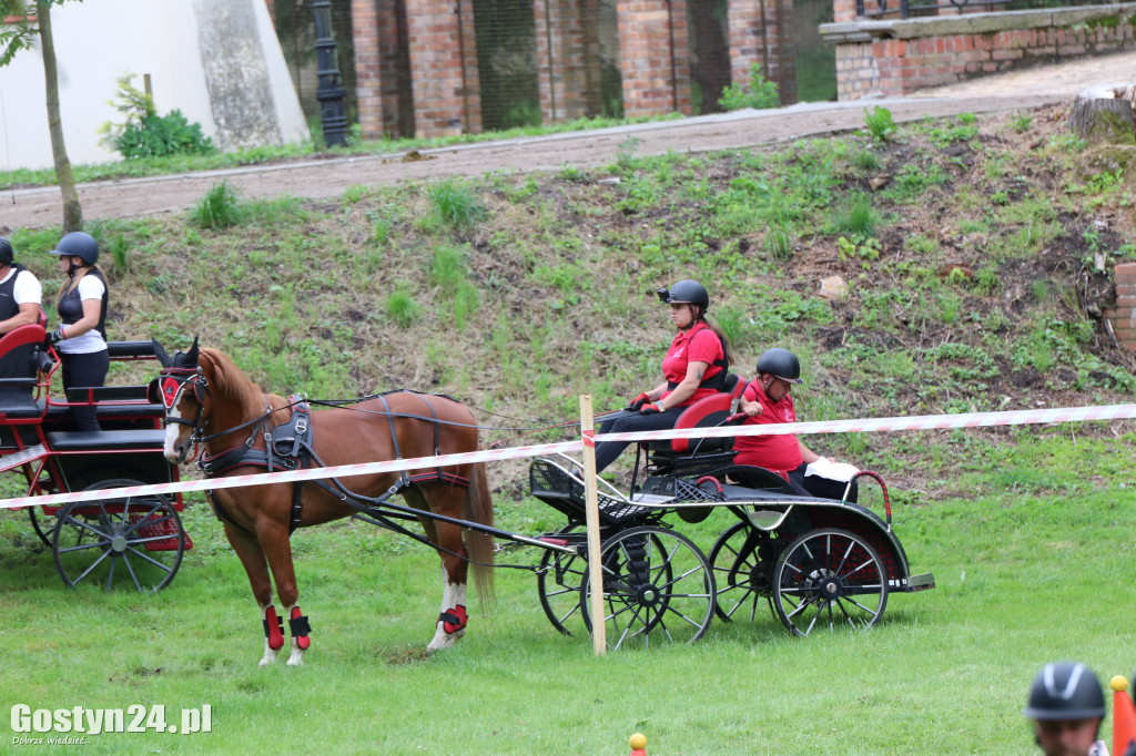 Pierwszy dzień Rokosowo Horse Show
