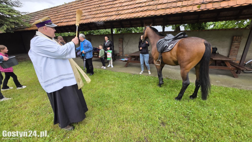 IV Pielgrzymka Konna na Świętą Górę