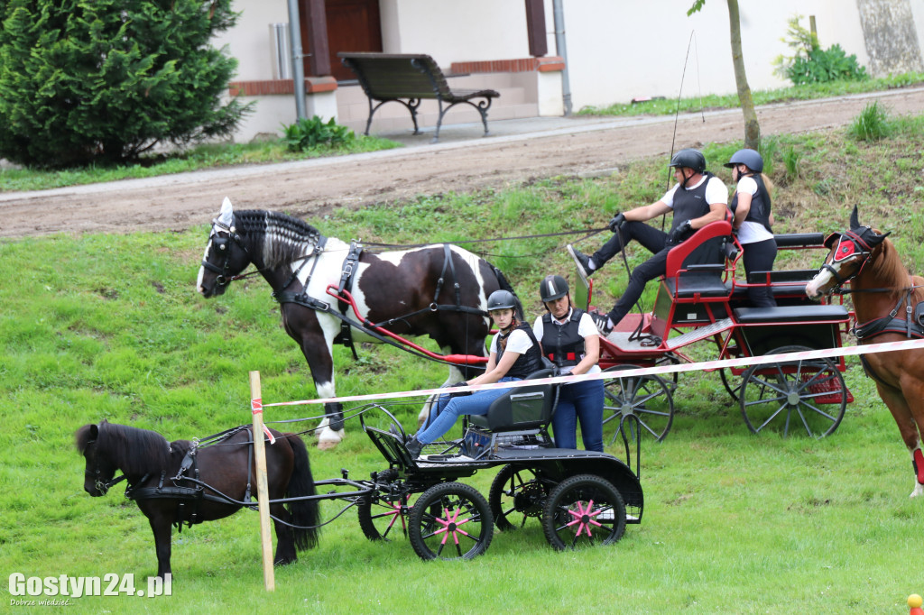 Pierwszy dzień Rokosowo Horse Show
