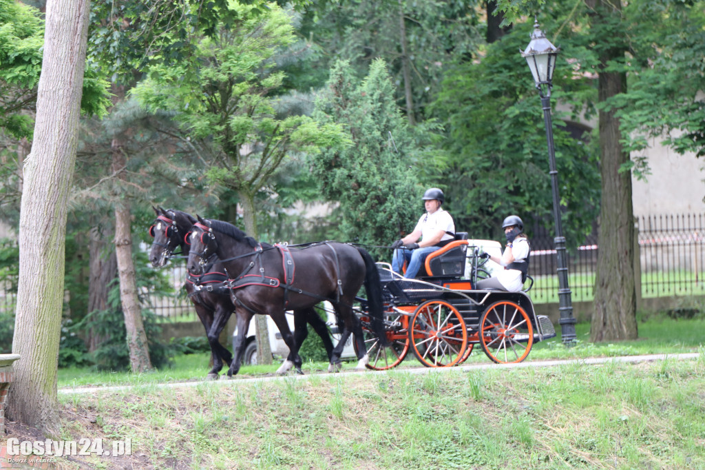 Pierwszy dzień Rokosowo Horse Show