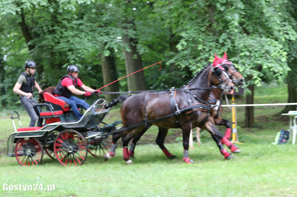 Pierwszy dzień Rokosowo Horse Show