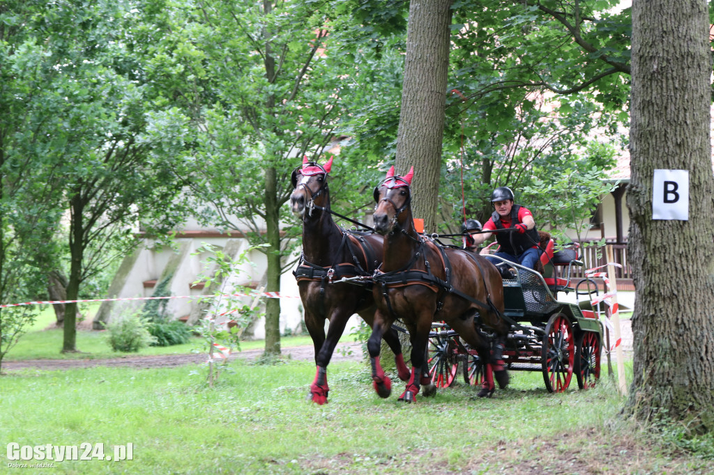Pierwszy dzień Rokosowo Horse Show