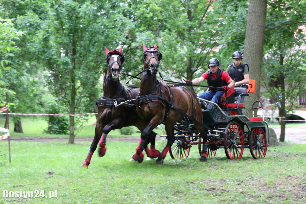 Pierwszy dzień Rokosowo Horse Show