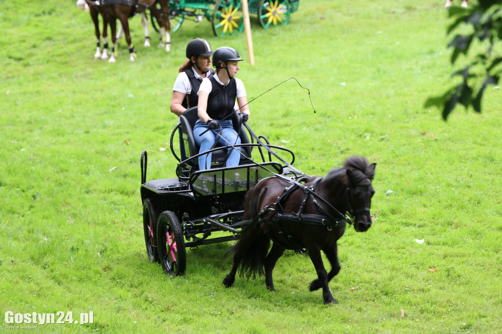Pierwszy dzień Rokosowo Horse Show