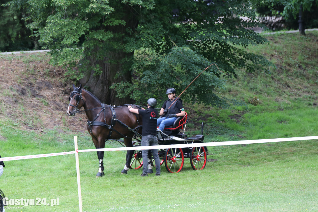 Pierwszy dzień Rokosowo Horse Show